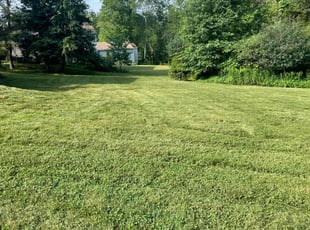 Poonam H.'s Yard Cutting service result