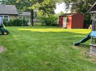 Bobbie S.'s Lawn Mowing service result