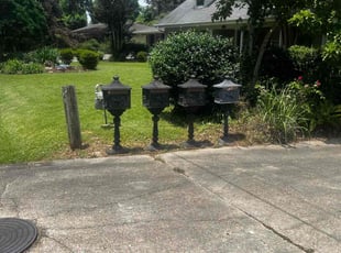 Igor R.'s Lawn Mowing Service service result