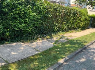 Thomas M.'s Lawn Maintenance service result