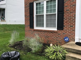 Weeding by Donald Tucker for Doug S. in Woodbridge, VA