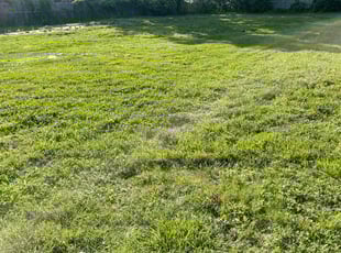 Cleanups by Chavelle Atkins for James W. in Suffolk, VA