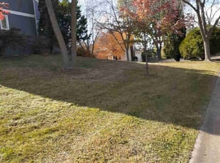 Leaf Removal by Jeremy Osell for Kiki K. in Maple Grove, MN