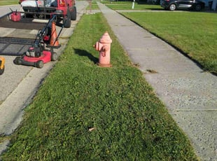 Denise A.'s Lawn Mowing Service service result