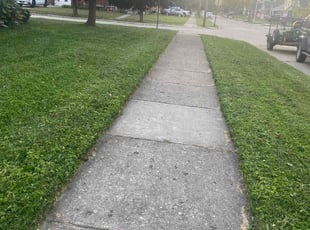 Zachary S.'s Lawn Care service result