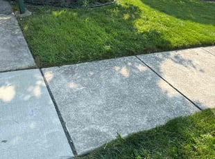 Zane A.'s Lawn Mowing service result