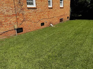 Anthony C.'s Grass Cutting service result