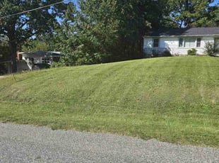 Liza S.'s Yard Cutting service result