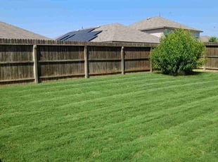 Sidney J.'s Lawn Mowing service result