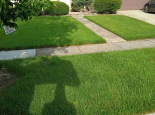 Bruno T.'s Lawn Maintenance service result