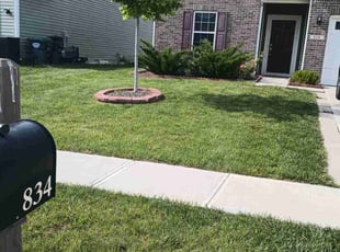 Britni K.'s Lawn Care service result