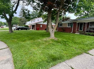Rita W.'s Lawn Mowing service result