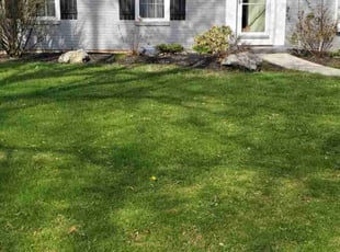 Raul A.'s Lawn Maintenance service result