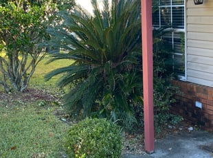 Weeding by Zach Tyler for Nicholas H. in Tallahassee, FL