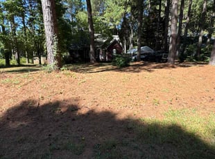 Weeding by Vitaliy Brylev for Kati C. in Monroe, NC