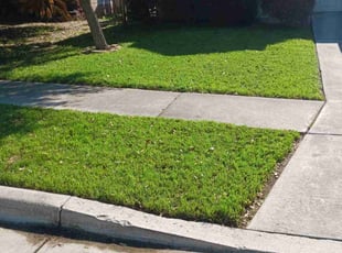 Weston S.'s Lawn Mowing service result