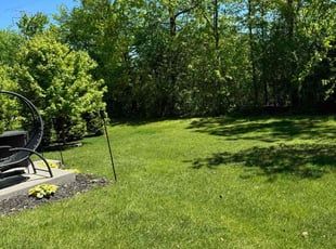 David B.'s Yard Cutting service result