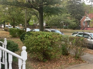 Bush Trimming by Liseth Bonilla for Sarah M. in Washington, DC