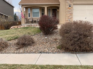 Bush Trimming by Dustin Schindler for Terese G. in Colorado Springs, CO