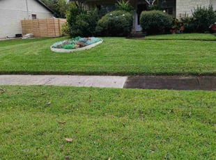 Michelle K.'s Grass Cutting service result