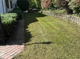 Anel F.'s Lawn Care service result