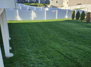 Virginia S.'s Lawn Care service result