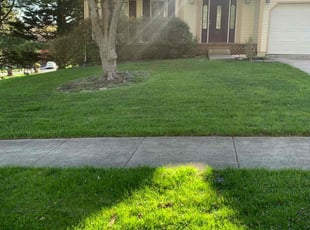 LaToya T.'s Yard Cutting service result