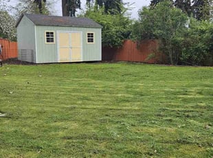 kathy l.'s Grass Cutting service result