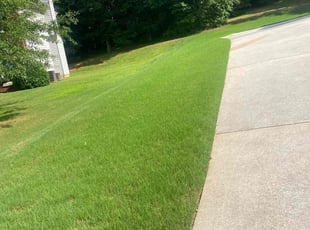 Steve G.'s Grass Cutting service result