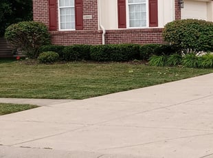 Bush Trimming by Jahandad Drigo for Brad R. in Greenwood, IN