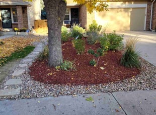 Leaf Removal by Junior Hernandez for Cynthia M. in Denver, CO