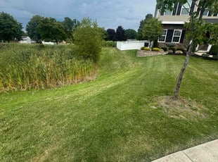 Charles R.'s Yard Cutting service result