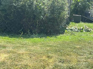 Bush Trimming by Sedrick Wesley for Gabrielle W. in Kansas City, MO