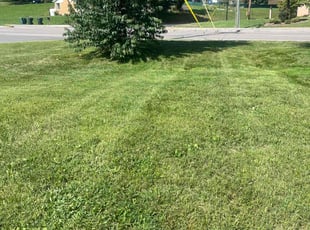 Patrick M.'s Lawn Service service result