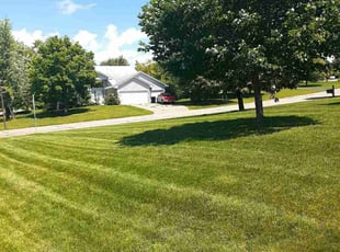 Carla T.'s Lawn Mowing Service service result
