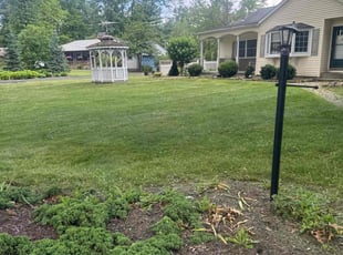 Ted A.'s Lawn Care service result