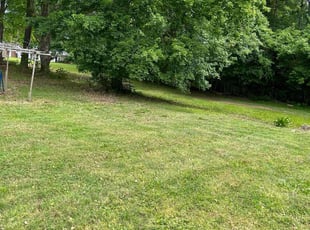 Cleanups by Eric Blocker for Joshua H. in Greensboro, NC