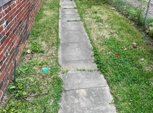 Leaf Removal by Caree Keith for Ricky G. in Washington, DC