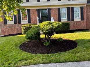 Mulching by Carlos Portillo for Debra R. in Fort Washington, MD