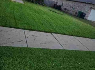 Kyrstan B.'s Lawn Maintenance service result