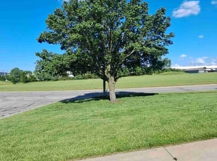 Hal P.'s Lawn Care service result