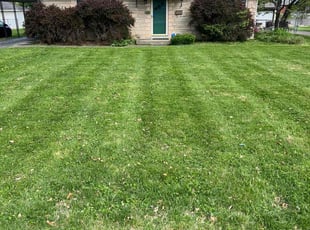 Sileshi K.'s Yard Cutting service result