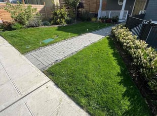 Dana U.'s Lawn Maintenance service result