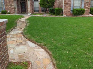 Sandra T.'s Yard Cutting service result