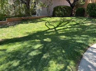 Carolyn B.'s Lawn Maintenance service result