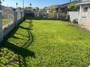 Sheila P.'s Lawn Mowing service result