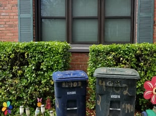 Bush Trimming by Terrence Hawkins for Flora F. in Washington, DC