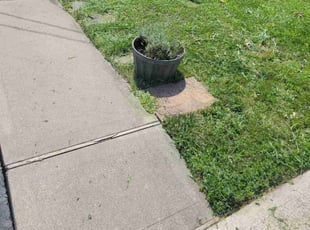 PaulTudisco t.'s Lawn Mowing service result