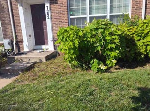 Weeding by Dan Hume for Derand S. in Beltsville, MD