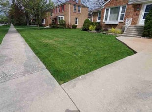 Ron B.'s Lawn Care service result